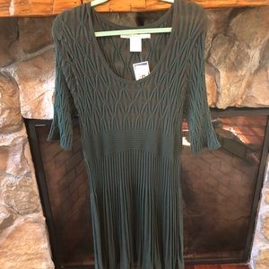 NWT Green Stretch Knit Ribbed Dress